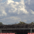 12_55-mast.jpg