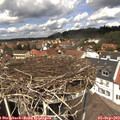 12_55-nest.jpg