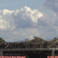 13_00-mast.jpg