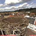 13_00-nest.jpg