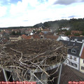 13_05-nest.jpg