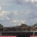 13_10-mast.jpg