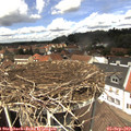 13_10-nest.jpg