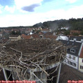 13_15-nest.jpg