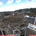 13_20-nest.jpg