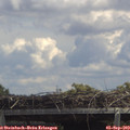 13_25-mast.jpg