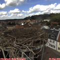 13_25-nest.jpg