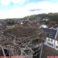 13_35-nest.jpg