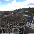 13_40-nest.jpg