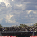 13_45-mast.jpg