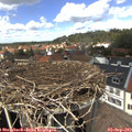 13_45-nest.jpg