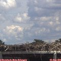 13_55-mast.jpg