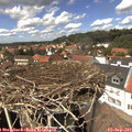 13_55-nest.jpg