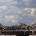 14_00-mast.jpg