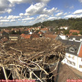 14_00-nest.jpg