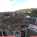 14_05-nest.jpg