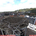 14_10-nest.jpg