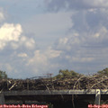 14_15-mast.jpg