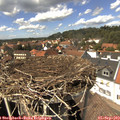 14_15-nest.jpg