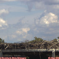14_20-mast.jpg