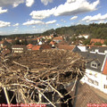 14_20-nest.jpg