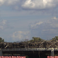 14_25-mast.jpg