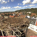 14_25-nest.jpg