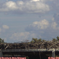 14_30-mast.jpg