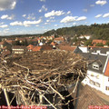 14_30-nest.jpg