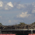 14_35-mast.jpg