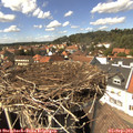 14_35-nest.jpg