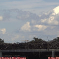 14_40-mast.jpg
