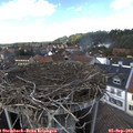 14_40-nest.jpg