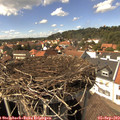 14_50-nest.jpg