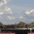 14_55-mast.jpg