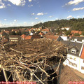 14_55-nest.jpg