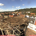 15_00-nest.jpg