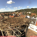 15_05-nest.jpg