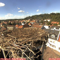 15_10-nest.jpg