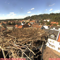 15_15-nest.jpg