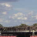 15_20-mast.jpg