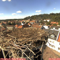 15_20-nest.jpg