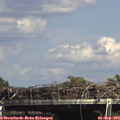 15_25-mast.jpg