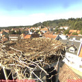 15_25-nest.jpg