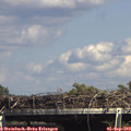 15_30-mast.jpg