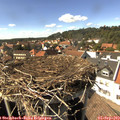 15_30-nest.jpg