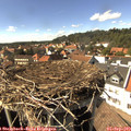 15_35-nest.jpg