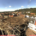15_40-nest.jpg