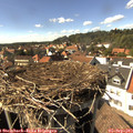 15_45-nest.jpg