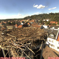 15_50-nest.jpg